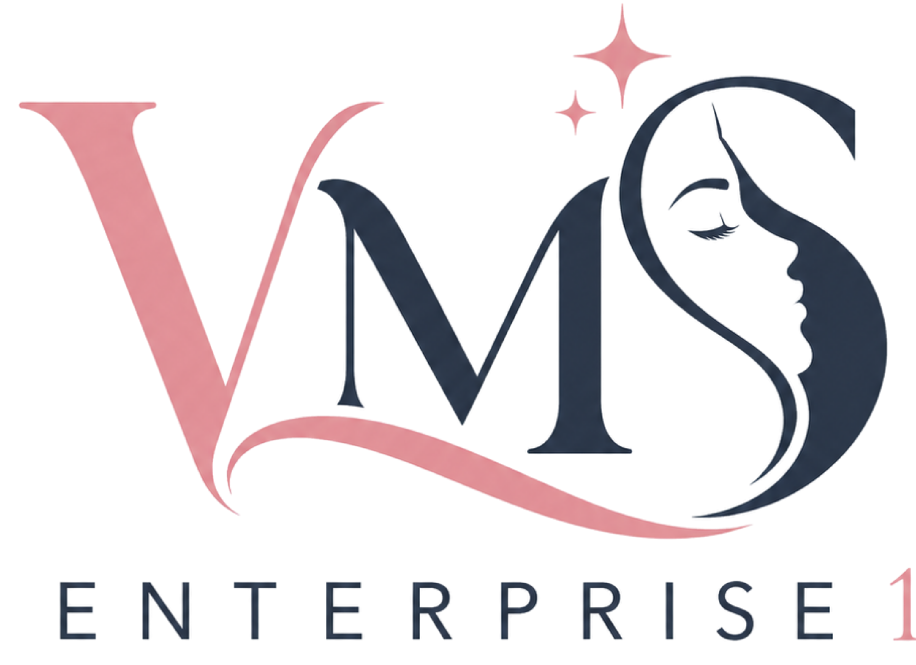 VMS Enterprise 1